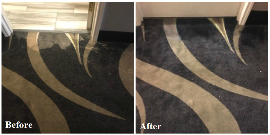 cleaning revolution carpet dyeing | 3803 N Sugar Ln, Bloomington, IN 47404, USA | Phone: (812) 327-6001