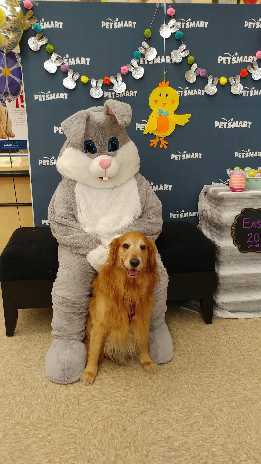 PetSmart | 27161 Crossroads Pkwy, Rossford, OH 43460, USA | Phone: (419) 873-1715