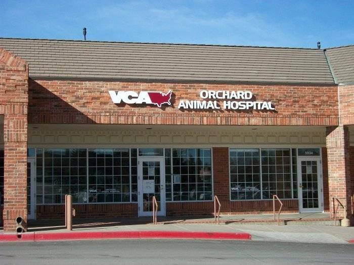 VCA Orchard Animal Hospital | 5930 S Holly St, Greenwood Village, CO 80111, USA | Phone: (303) 689-9500