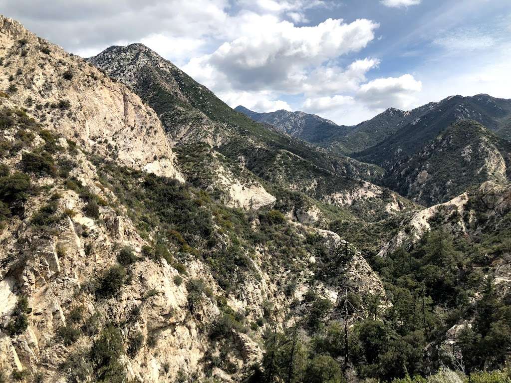 Switzer Falls Trail in 701 Angeles Crest Hwy, Tujunga, CA 91042, USA