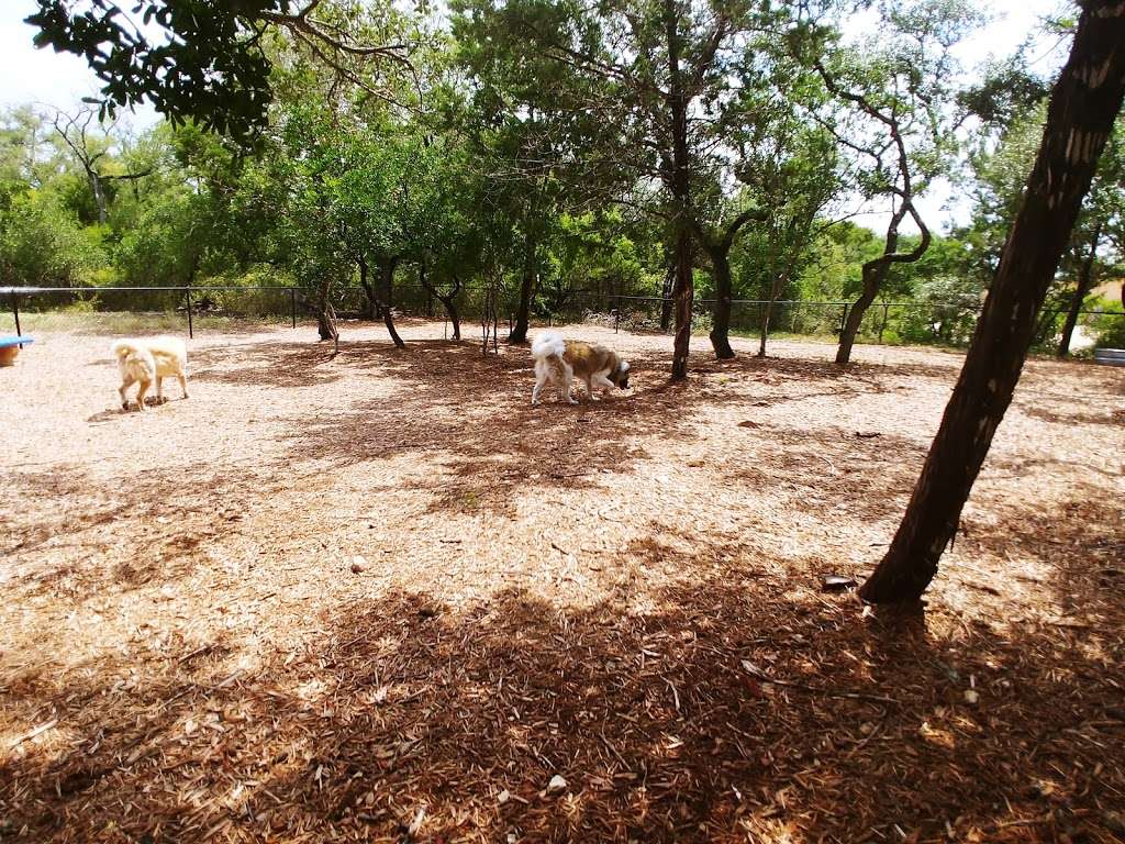 Westcreek Dog Park | San Antonio, TX 78253, USA | Phone: (210) 679-8761