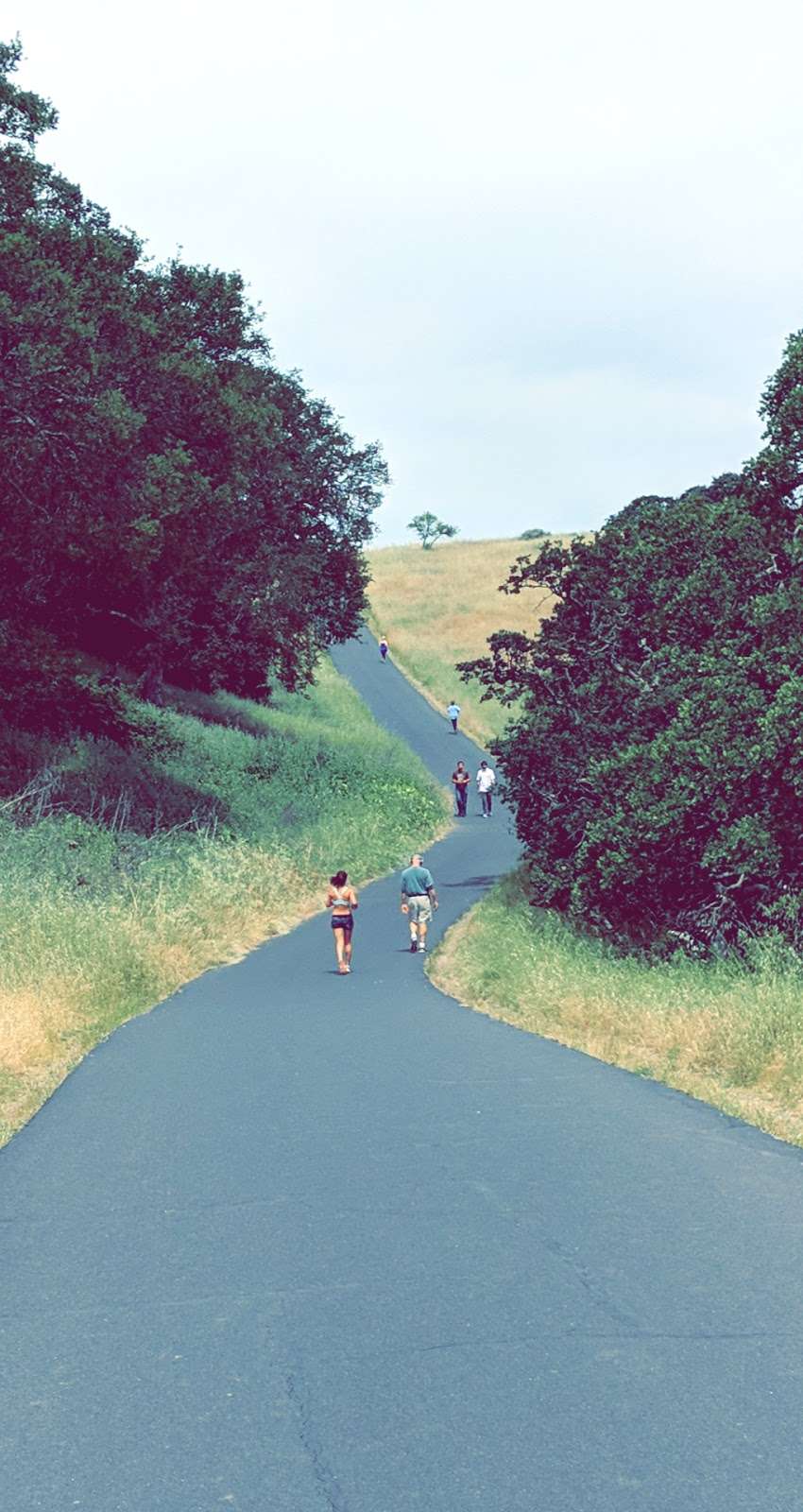 Gerona Gate, Stanford Dish Hiking Trail | Stanford Dish Hiking Trail, Stanford, CA 94305