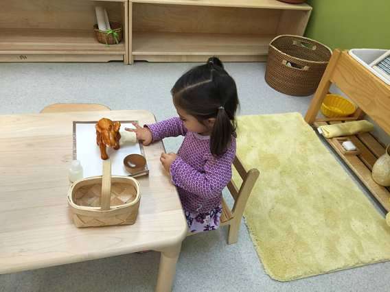 Fiore Montessori School | 1629 Beulah Rd, Vienna, VA 22182, USA | Phone: (703) 319-2069