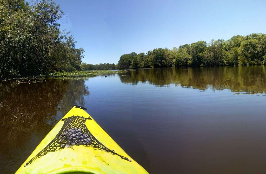 Lake George State Forest | 5458 U.S. 17, De Leon Springs, FL 32130, USA | Phone: (386) 985-7815