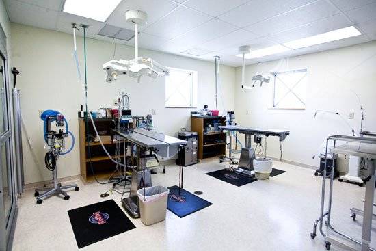 VCA Companion Animal Medical Center | 1455 S Rangeline Rd, Carmel, IN 46032, USA | Phone: (317) 844-0049