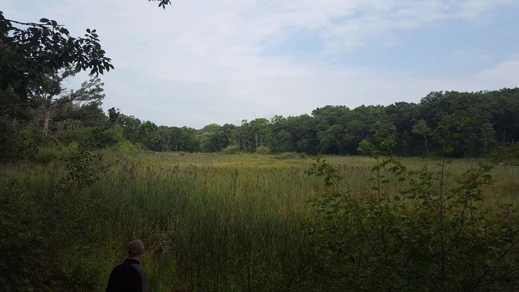 Clifford F. Messinger Dry Prairie & Savanna State Natural Area | State Park Road, Whitewater, WI 53190, USA | Phone: (888) 936-7463