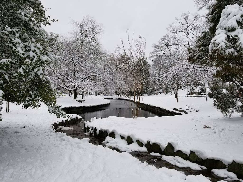 Homeland Duck Pond | Springlake Way & St Dunstans Rd, Baltimore, MD 21212