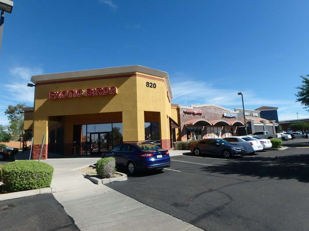 Exotic Birds | 820 E Greenway Pkwy, Phoenix, AZ 85022, USA | Phone: (602) 493-7387