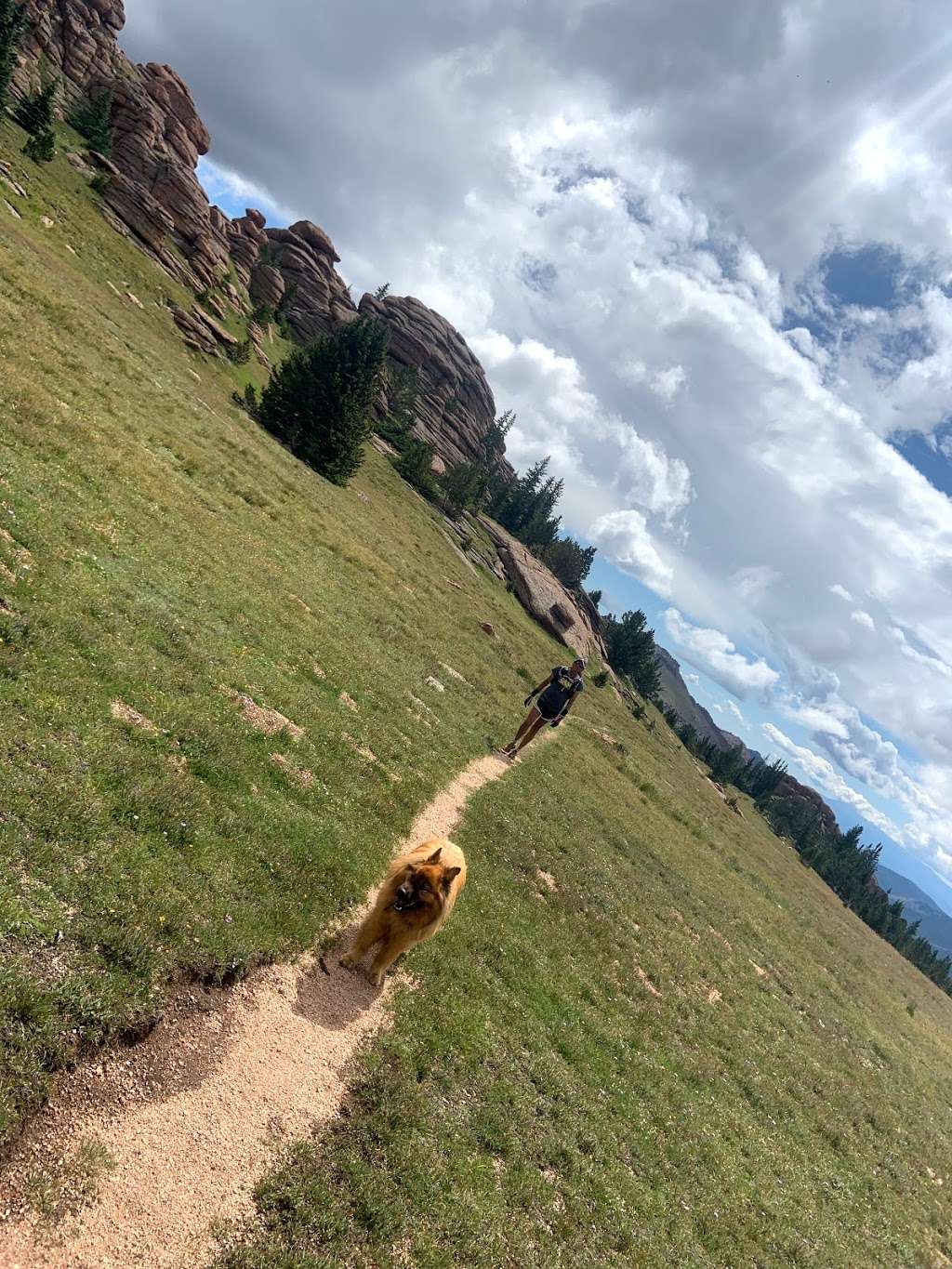 Ute Creek Trailhead | 9814 Tarryall Rd, Jefferson, CO 80456, USA