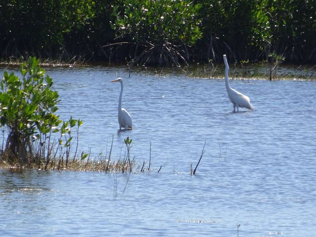 L-67 / L-67 C | Everglades, FL, USA