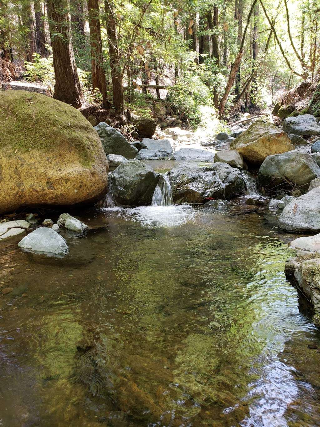 Walk at Sugarloaf Ridge State Park | 2605 Adobe Canyon Rd, Kenwood, CA 95452, USA | Phone: (707) 833-6288