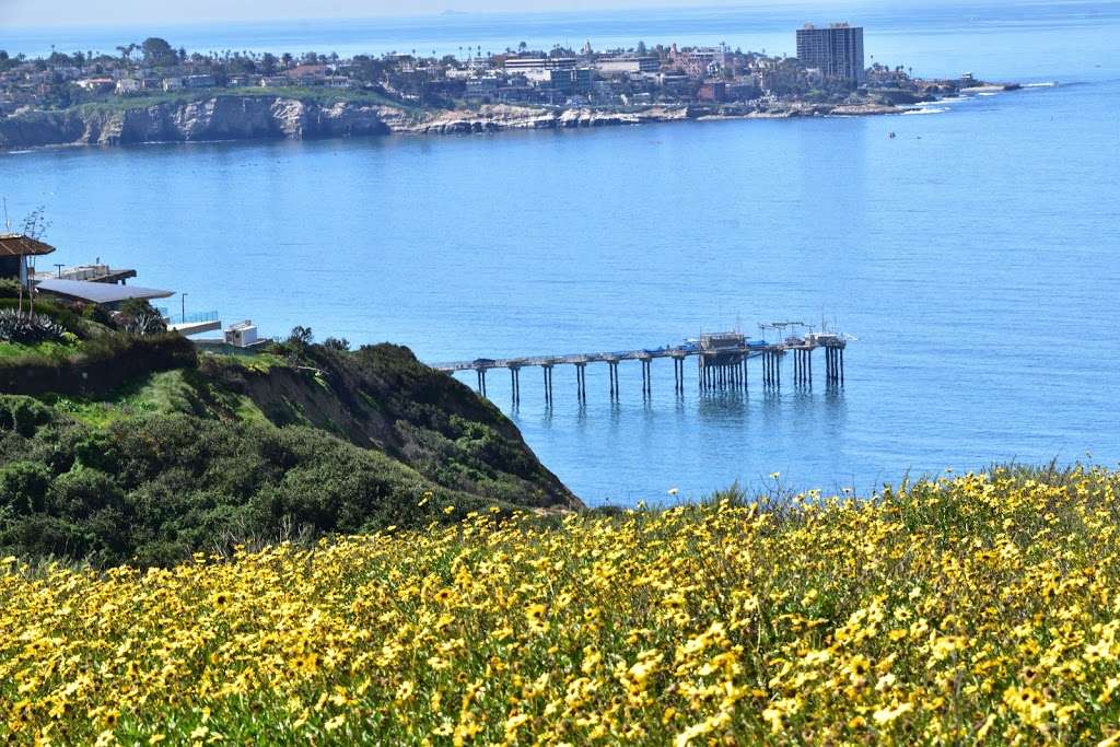 Scripps Coastal Reserve | 9400 La Jolla Farms Rd, La Jolla, CA 92037, USA | Phone: (858) 534-2077