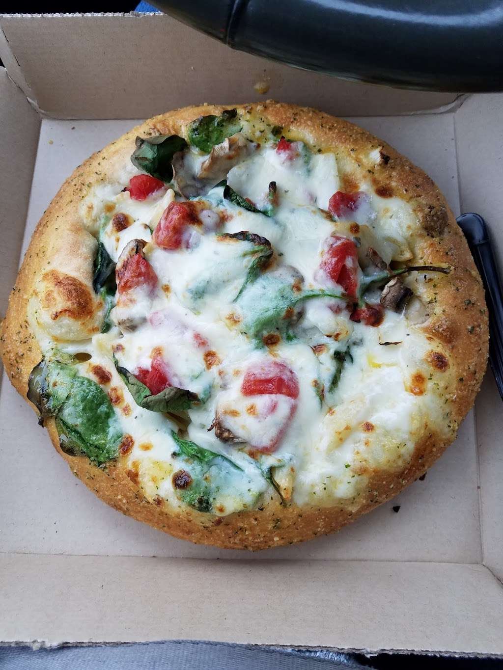 Dominos Pizza | 7578 SE Maricamp Rd, Ocala, FL 34472, USA | Phone: (352) 261-1000