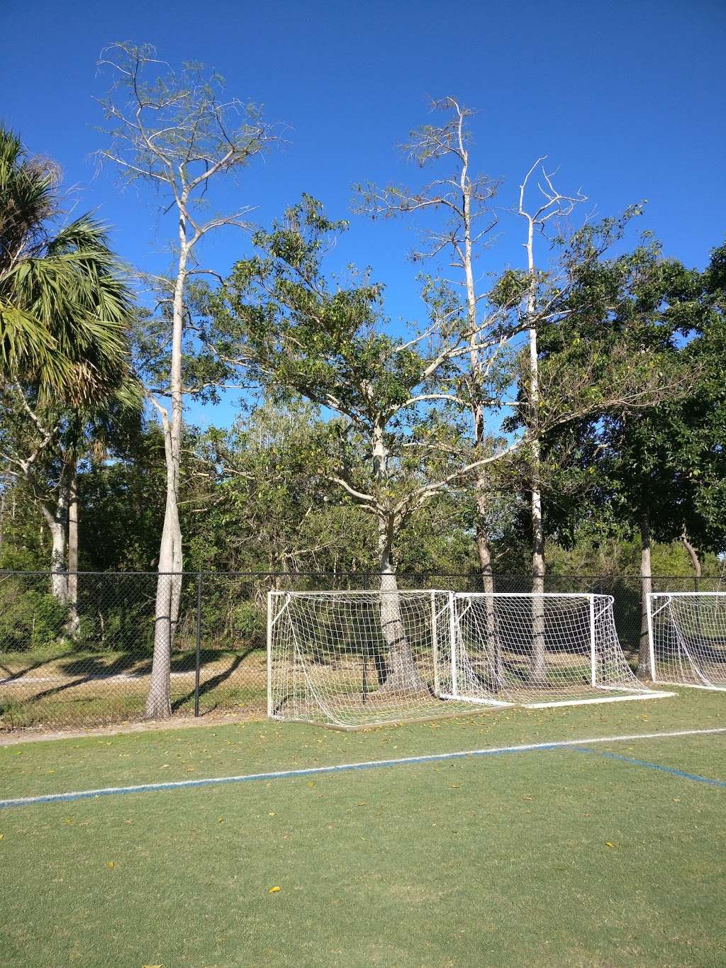 Loggers Run Park | 11185 W Palmetto Park Rd, Boca Raton, FL 33428 | Phone: (561) 966-6600