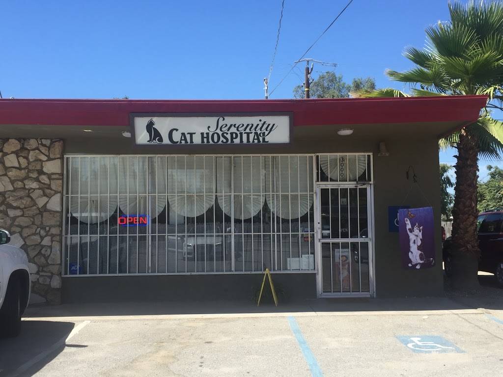 Serenity Cat Hospital | 3000 Taft Hwy, Bakersfield, CA 93313, USA | Phone: (661) 837-1228