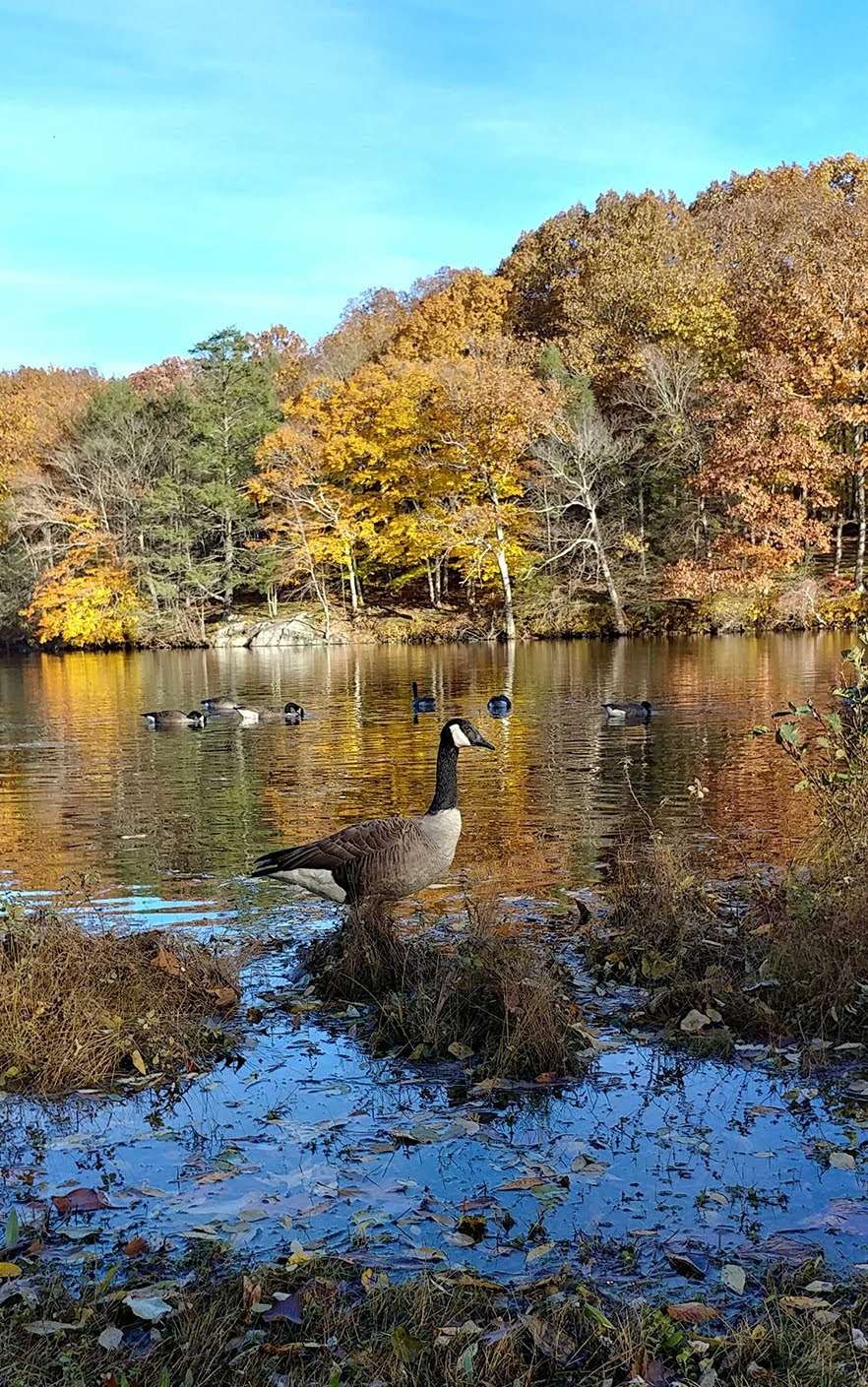 Blue Mountain Picnic Area | Cortlandt, NY 10567, USA