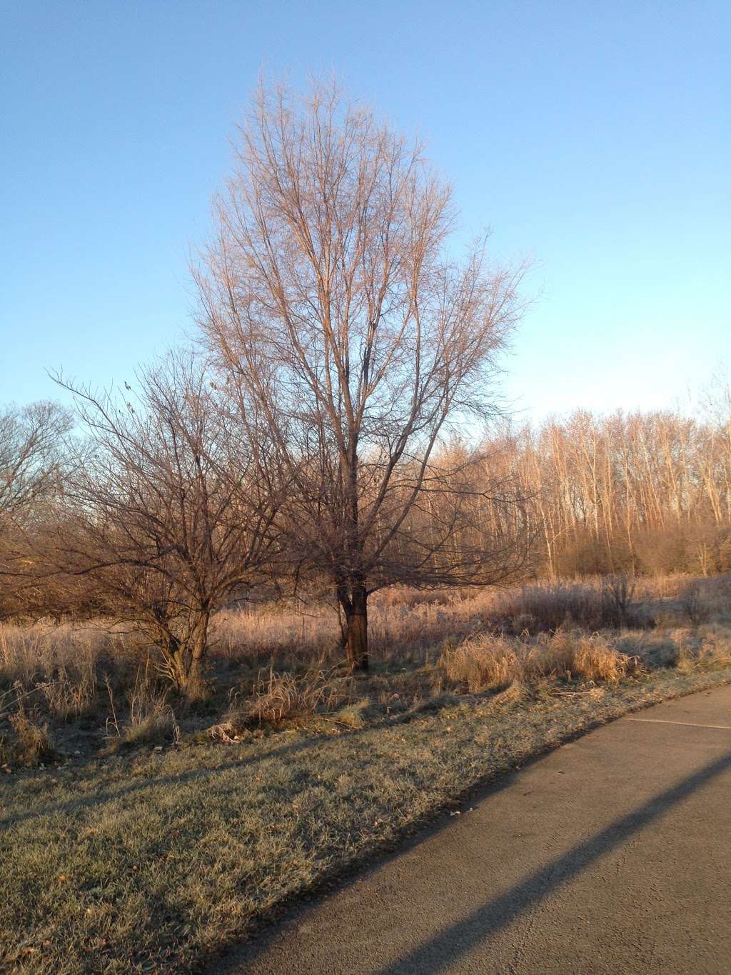 Lower Rock Run Preserve - I&M Canal Access | 1966 Hollywood Rd, Joliet, IL 60436, USA | Phone: (815) 727-8700