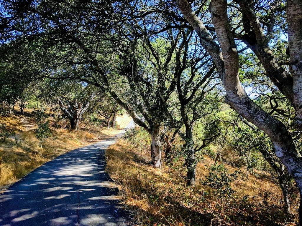 Helen Putnam Regional Park | 411 Chileno Valley Rd, Petaluma, CA 94952 | Phone: (707) 539-8092