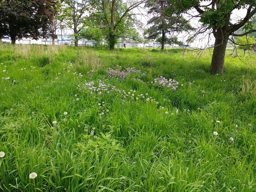 Montrose Point Bird Sanctuary | Chicago, IL 60640, USA