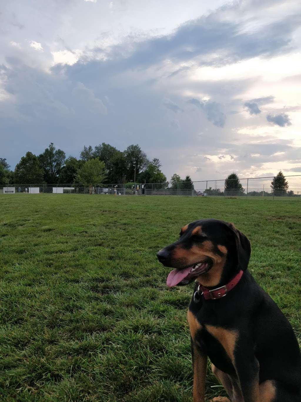 Overlook Dog Park | 2215 Fruitville Pike, Lancaster, PA 17601, USA | Phone: (717) 290-7180