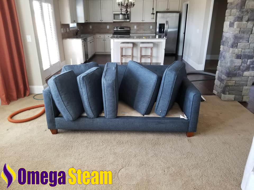 Omega Steam | 305 Fort Edward Dr, Arlington, TX 76002, USA | Phone: (817) 319-9485