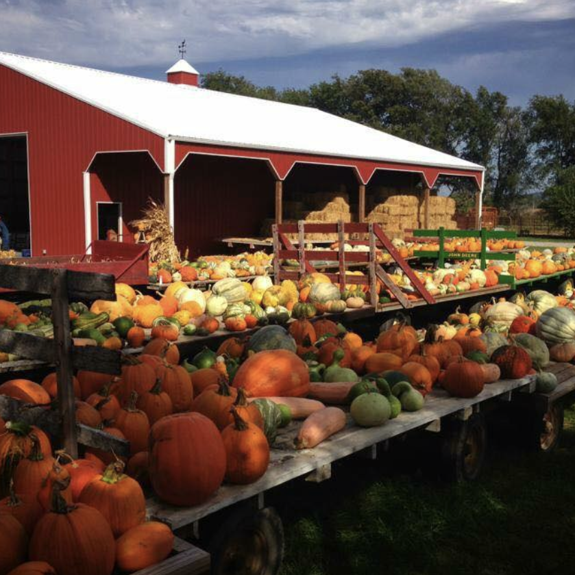 Crocket Farms Family Produce | 7500 SW, State Rte KK, Rushville, MO 64484, USA | Phone: (816) 262-6392