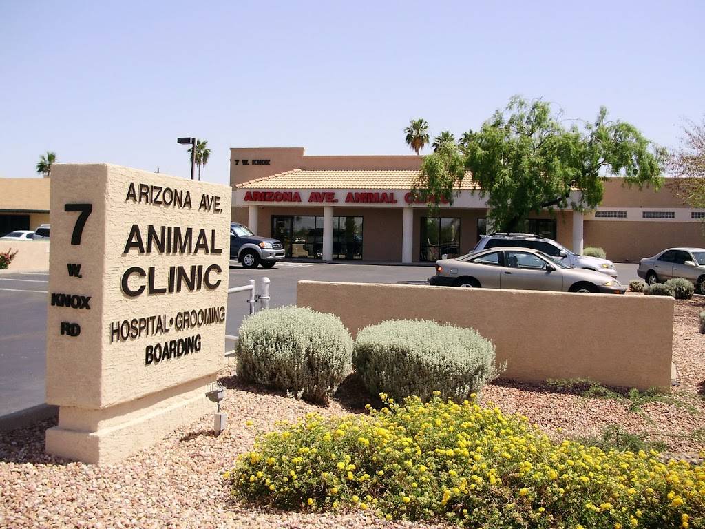 Arizona Avenue Animal Clinic | 7 W Knox Rd, Chandler, AZ 85225, USA | Phone: (480) 963-2340