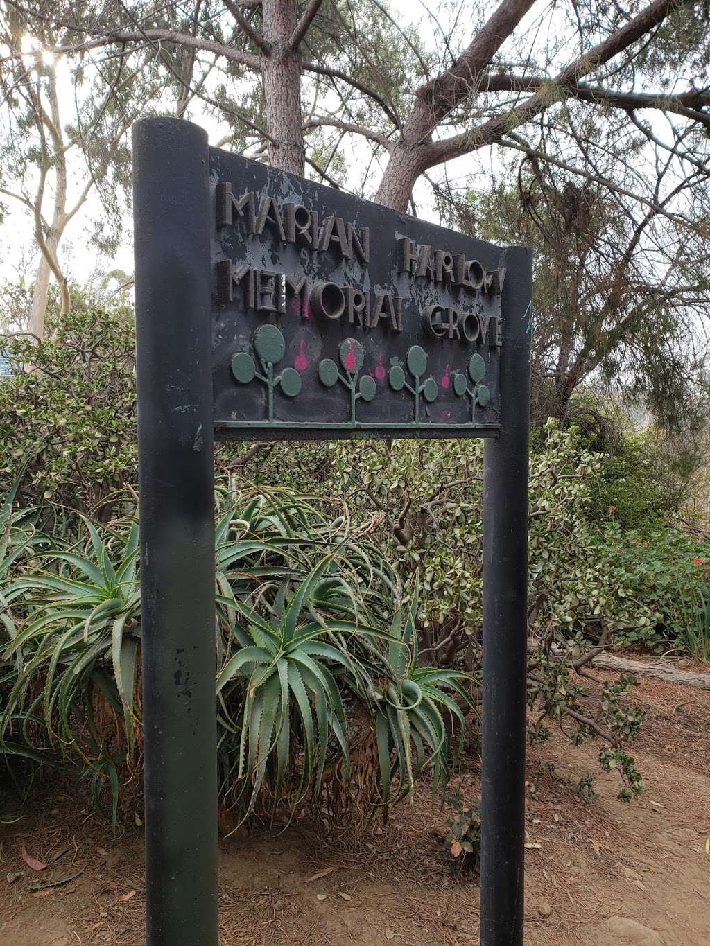 Marian Harlow Memorial Grove | Elysian Park Trail, Los Angeles, CA 90026, USA