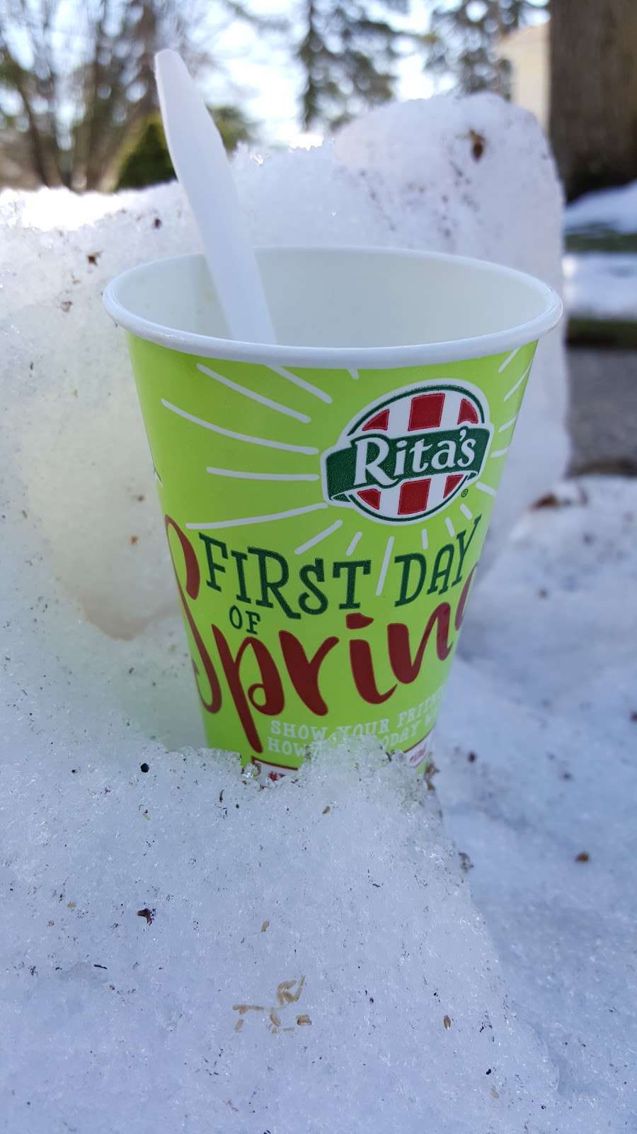 Ritas Italian Ice & Frozen Custard | 1135 Old York Rd, Willow Grove, PA 19090, USA | Phone: (215) 659-1047