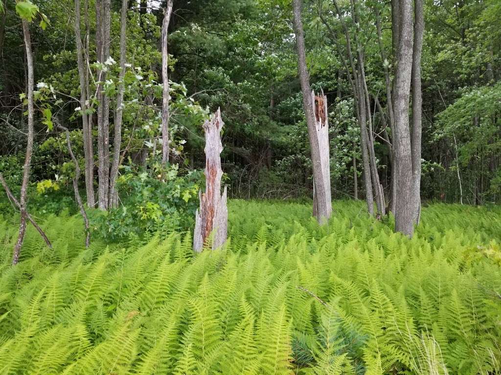 Pomeroy Trail | Tri-Valley Trail, Newark, DE 19711, USA