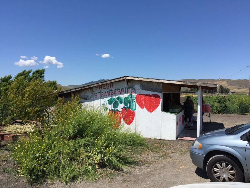 Fresh Strawberries and Produce | 4270 N Livermore Ave, Livermore, CA 94551, USA