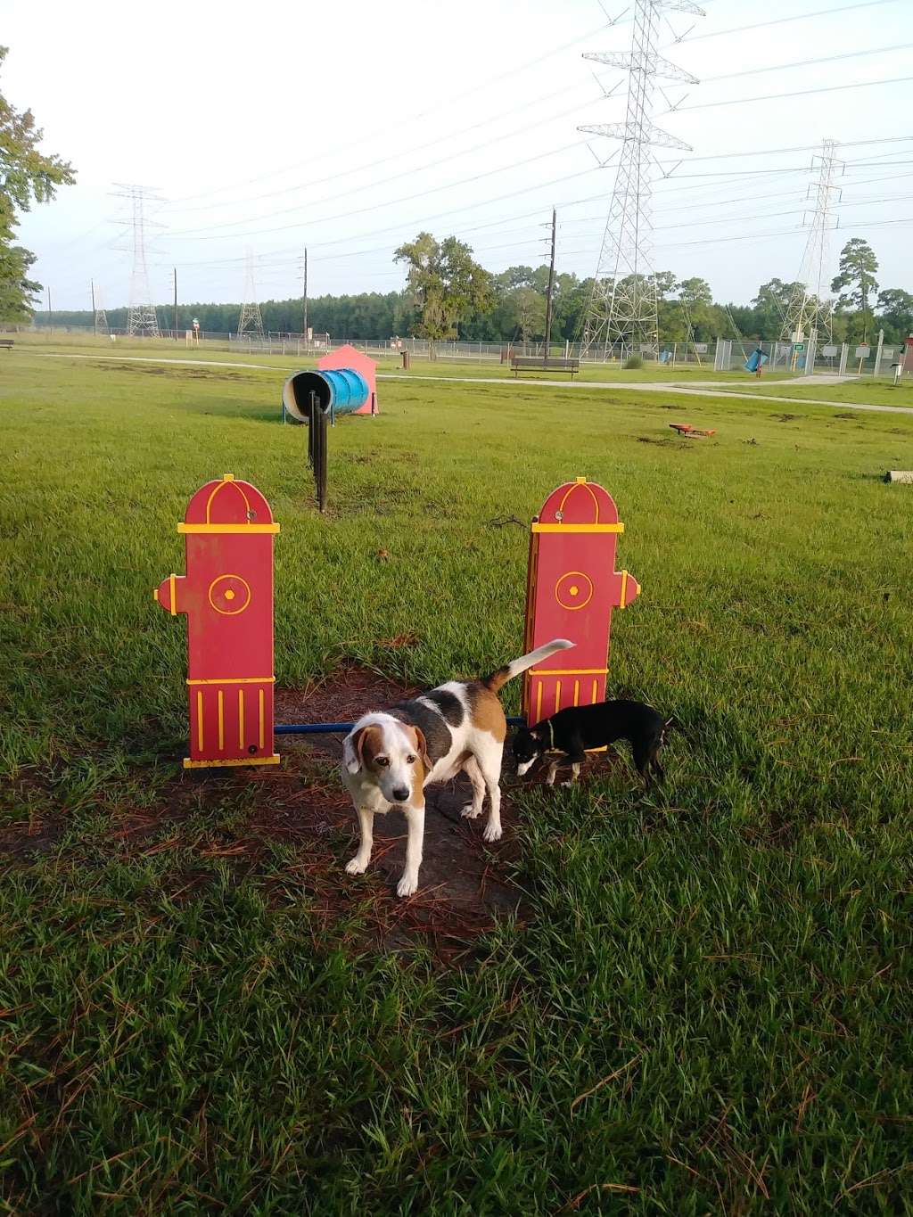 Small Dog Park | 12056-12098 Sonnier St, Houston, TX 77044, USA | Phone: (713) 440-1587