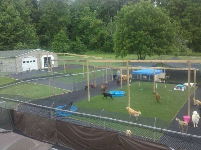 Beechnut Kennels | 525 Central Ave E, Edgewater, MD 21037 | Phone: (410) 798-4304