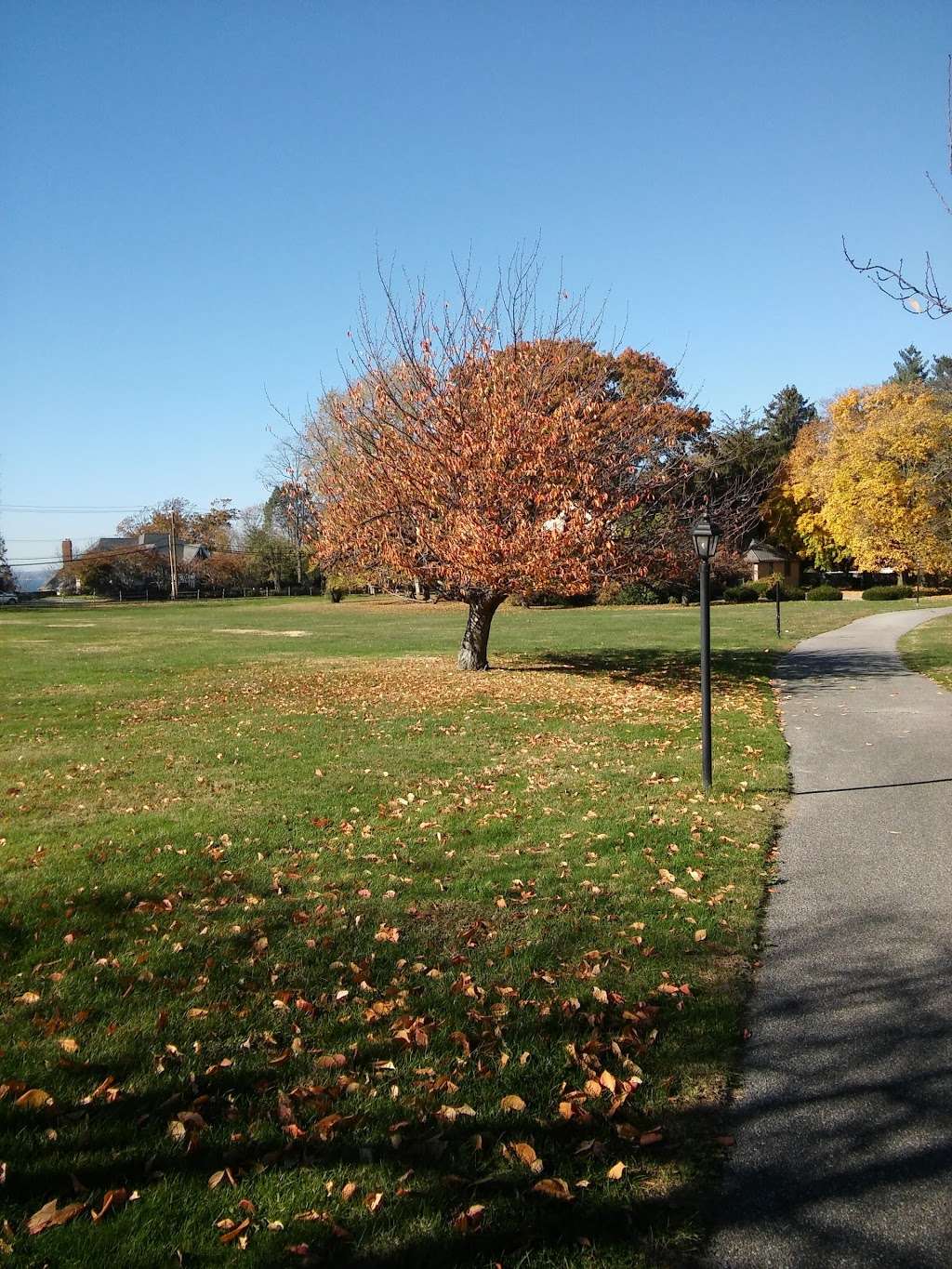 Kane Park | 2214 US-1, Larchmont, NY 10538, USA | Phone: (914) 834-6230