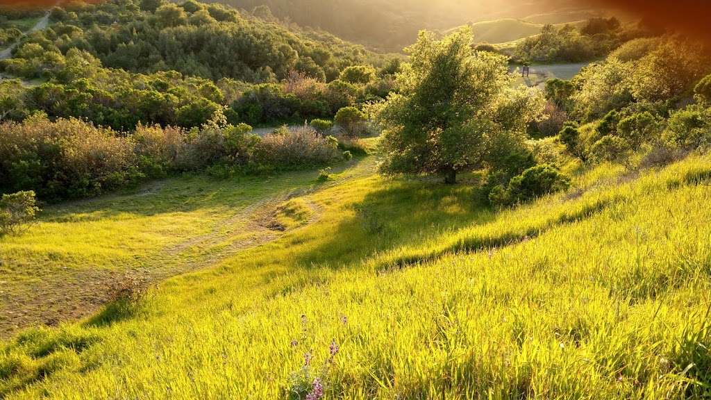 Sibley Volcanic Regional Preserve | Oakland, CA 94611, USA | Phone: (888) 327-2757