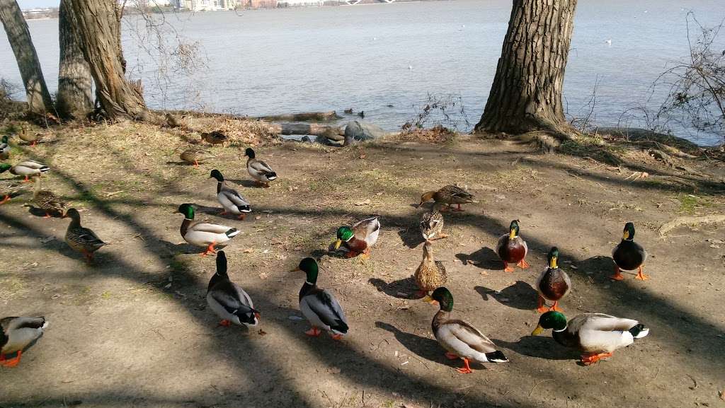 Belle Haven Park, Virginia | Alexandria, VA 22307, USA