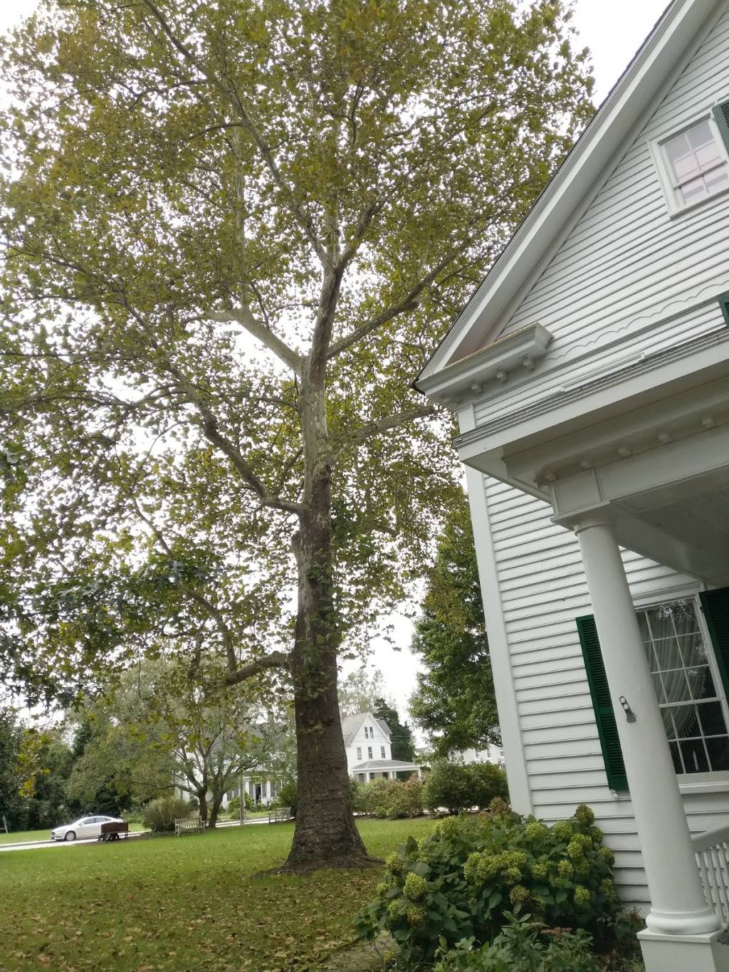 Calvin B. Taylor House | 208 N Main St, Berlin, MD 21811, USA | Phone: (410) 641-1019