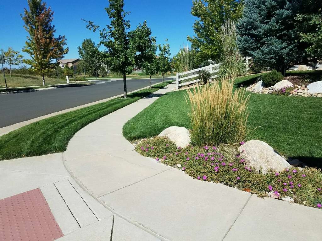 Lawn Doctor - Lakewood | 5315 W Mississippi Ave, Lakewood, CO 80226 | Phone: (303) 936-8001