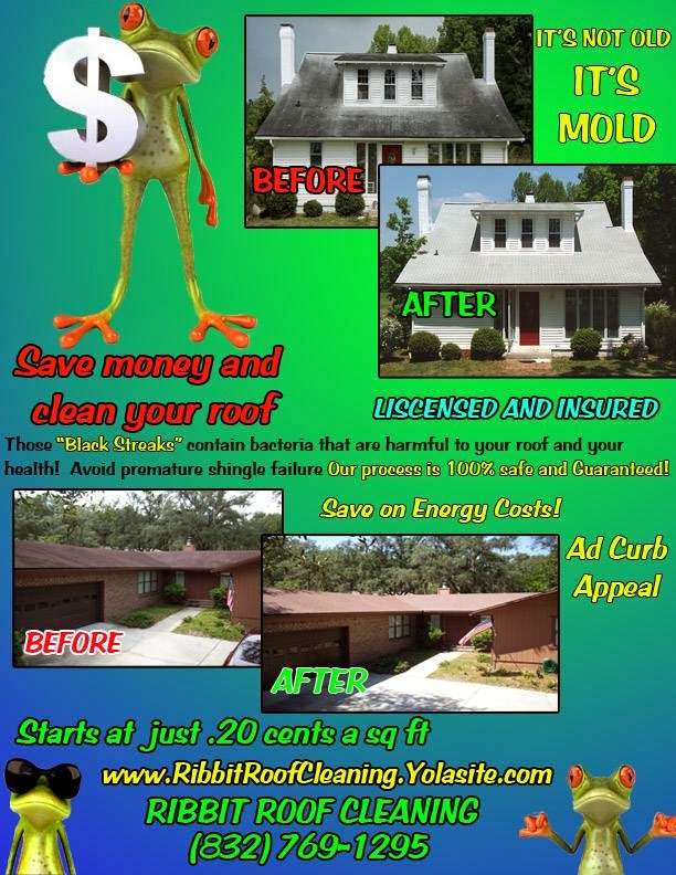 Ribbit Roof Cleaning | 5004 Pine St, Seabrook, TX 77586, USA | Phone: (832) 769-1295