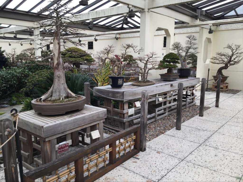 National Bonsai Foundation Inc | 3501 New York Ave NE, Washington, DC 20002, USA | Phone: (202) 396-3510