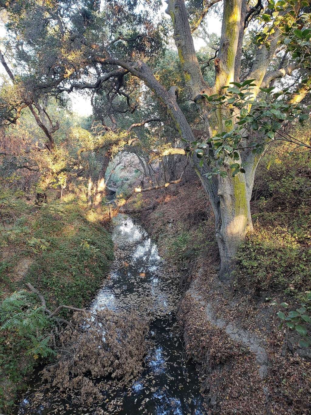 Tassajara Creek Regional Park | Tassajara Rd, Dublin, CA 94568, USA | Phone: (888) 327-2757