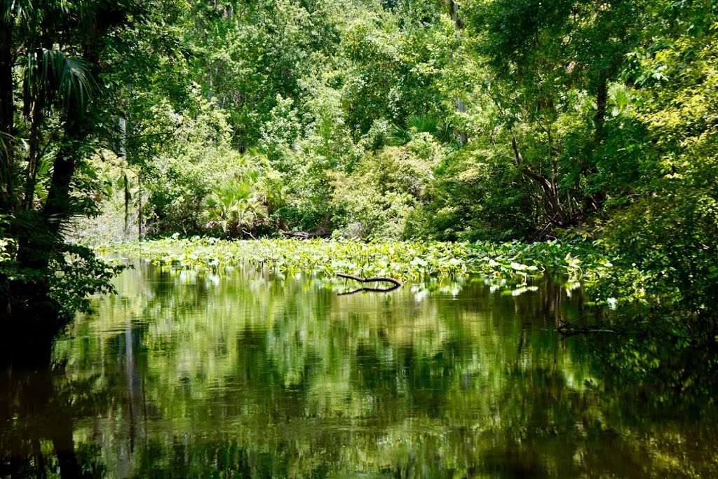 Sabal Point Sanctuary | 404 Wilderness Dr, Longwood, FL 32779, USA