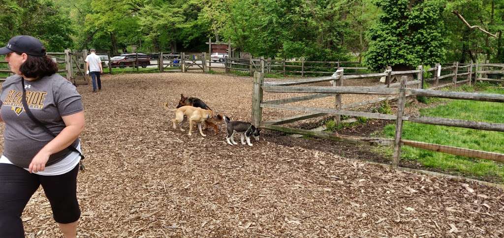 Curtis Dog Park | Unnamed Road, Wyncote, PA 19095, USA | Phone: (215) 887-6200 ext. 227