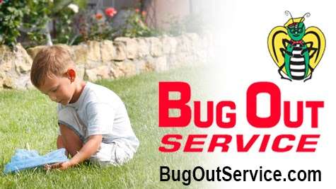 Bug Out Termite & Pest Control of Ocala | 7710 Juniper Rd, Ocala, FL 34480, USA | Phone: (352) 368-2888