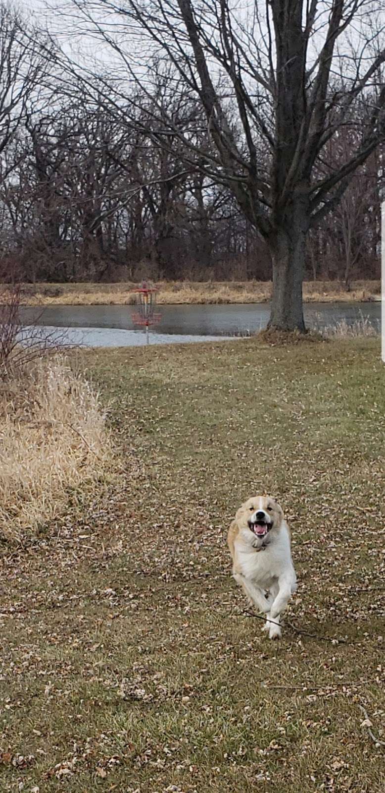 Round Barn Disc Golf Course | 24001-, 24199 Manhattan Rd, Manhattan, IL 60442 | Phone: (815) 478-3324