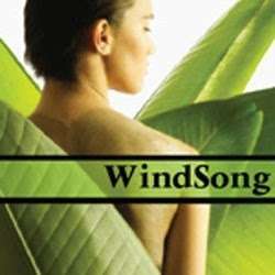 WindSong Healing Arts | 1451 Rockdale Ln Suite E, Stroudsburg, PA 18360, USA | Phone: (570) 406-1975