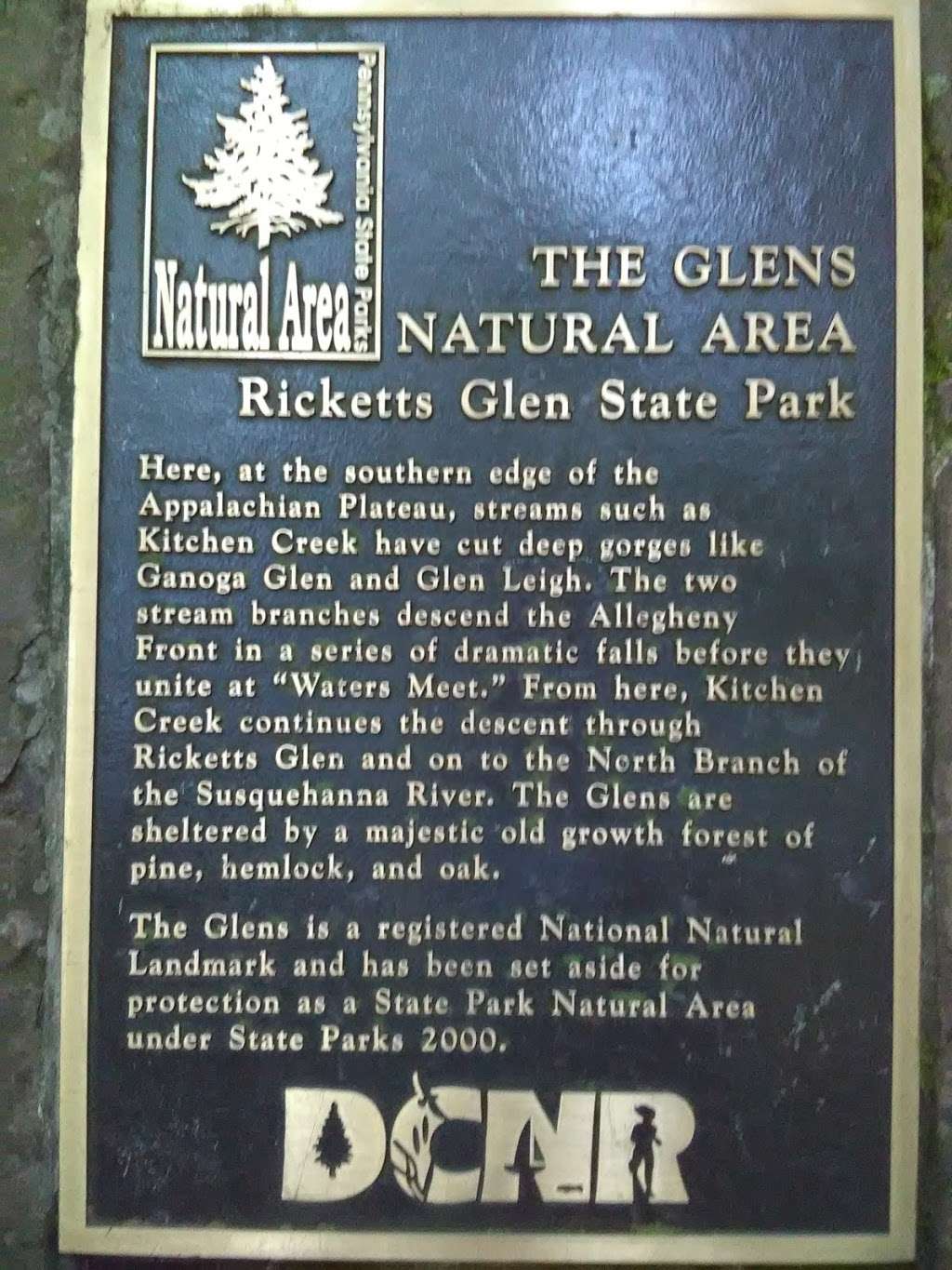 Falls Natural Trail, Ricketts Glen | PA-118, Benton, PA 17814, USA
