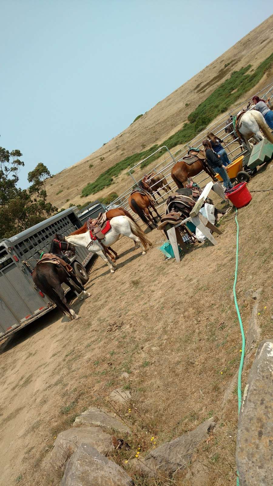 Horse N Around Trail Rides | 18797 CA-1, Bodega Bay, CA 94923, USA | Phone: (707) 875-3333