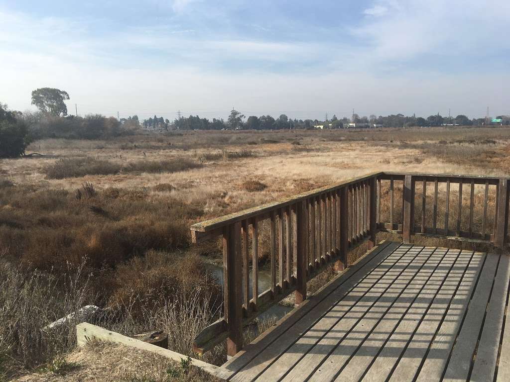 Baylands Nature Preserve - City of Palo Alto | Palo Alto, CA 94303, USA | Phone: (650) 617-3156