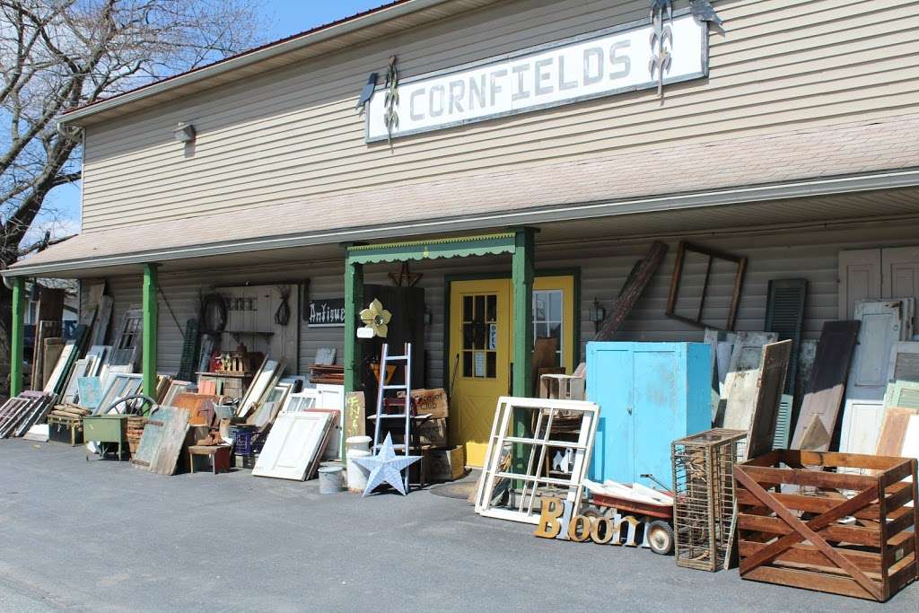 Cornfields | 245 Gristmill Rd, New Holland, PA 17557, USA | Phone: (717) 354-7343